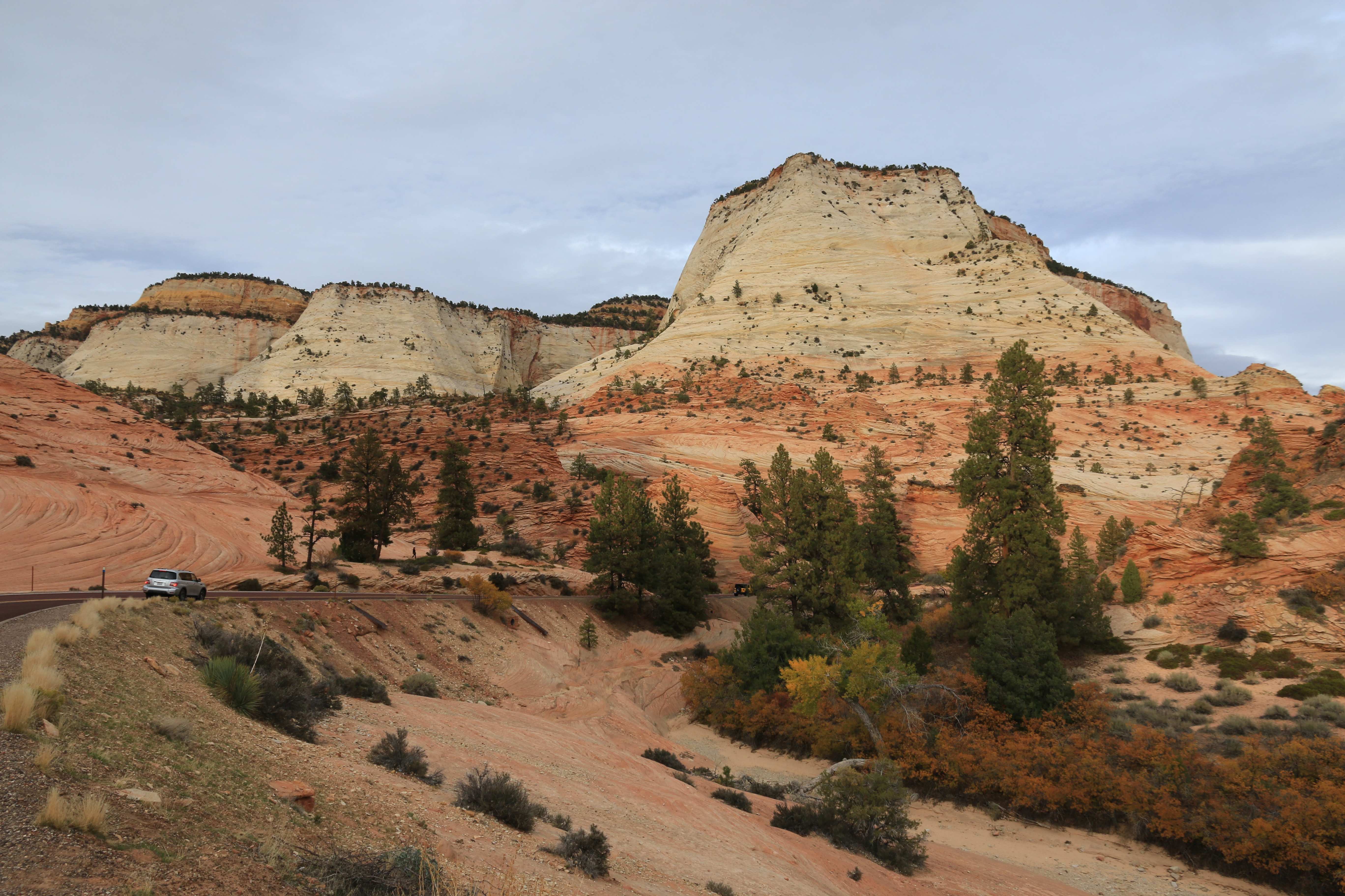 Zion NP